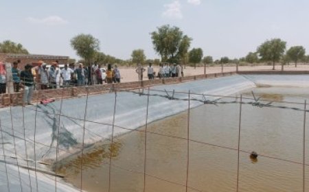 दर्दनाक हादसा: बेटे को बचाने के लिए पानी की डिग्गी में कूदा पिता, डूबने से हो गई दोनों की मौत