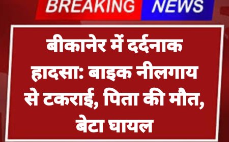 बीकानेर में दर्दनाक हादसा: बाइक नीलगाय से टकराई, पिता की मौत, बेटा घायल