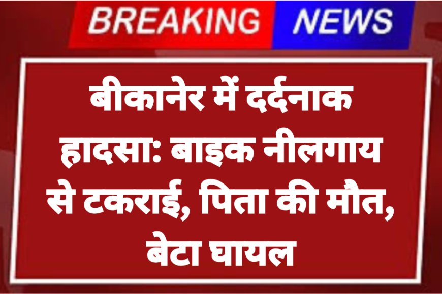 बीकानेर में दर्दनाक हादसा: बाइक नीलगाय से टकराई, पिता की मौत, बेटा घायल
