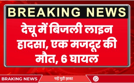Phalodi News: देचू में बिजली लाइन हादसा, एक मजदूर की मौत, 6 घायल