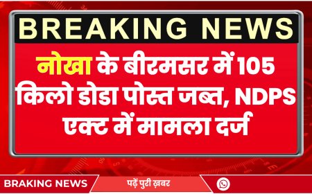 नोखा के बीरमसर में 105 किलो डोडा पोस्त जब्त, NDPS एक्ट में मामला दर्ज