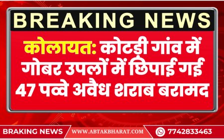 कोलायत: कोटड़ी गांव में गोबर उपलों में छिपाई गई 47 पव्वे अवैध शराब बरामद | Bikaner News