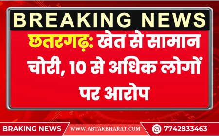 छतरगढ़: खेत से सामान चोरी, 10 से अधिक लोगों पर आरोप | Bikaner News