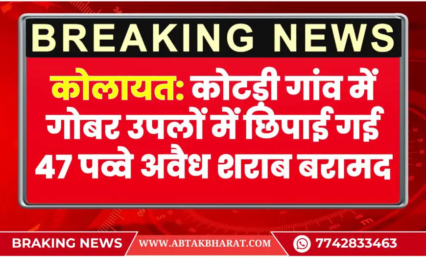 कोलायत: कोटड़ी गांव में गोबर उपलों में छिपाई गई 47 पव्वे अवैध शराब बरामद | Bikaner News