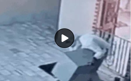 बीकानेर में गुरु जम्भेश्वर मंदिर में चोरी: नकाबपोश चोर दानपात्र तोड़कर फरार, CCTV में कैद