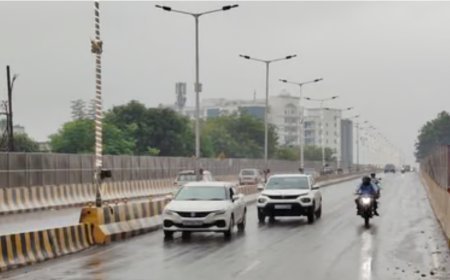 नए साल पर राजस्थान में बारिश-कोहरा का डबल अटैक: 12 जिलों में अलर्ट, फतेहपुर में जमी बर्फ