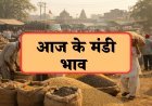 Bikaner Mandi Bhav Aaj 02 फरवरी 2026: मुंगफली 7760 तक, जीरा 22400 पार