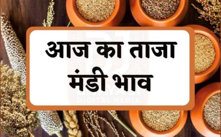 राजस्थान मंडी भाव 14 जनवरी 2026: मूंगफली और ग्वार के ताज़ा रेट