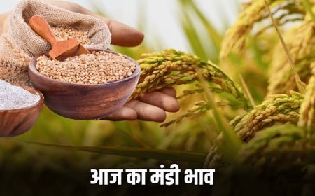 Bikaner Mandi Bhav Aaj 07 फरवरी 2026: मुंगफली मजबूत, आवक कम, ताज़ा भाव