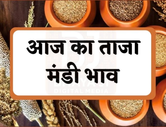 बीकानेर मंडी भाव आज: 16 जनवरी 2026 | मूंगफली, गेहूं, मूंग, ईसबगोल के ताजा अपडेट्स