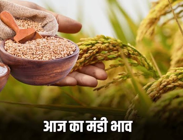 Bikaner Mandi Bhav Aaj 14 फरवरी 2026: मुंगफली 7501 तक, जीरा 21400 तक