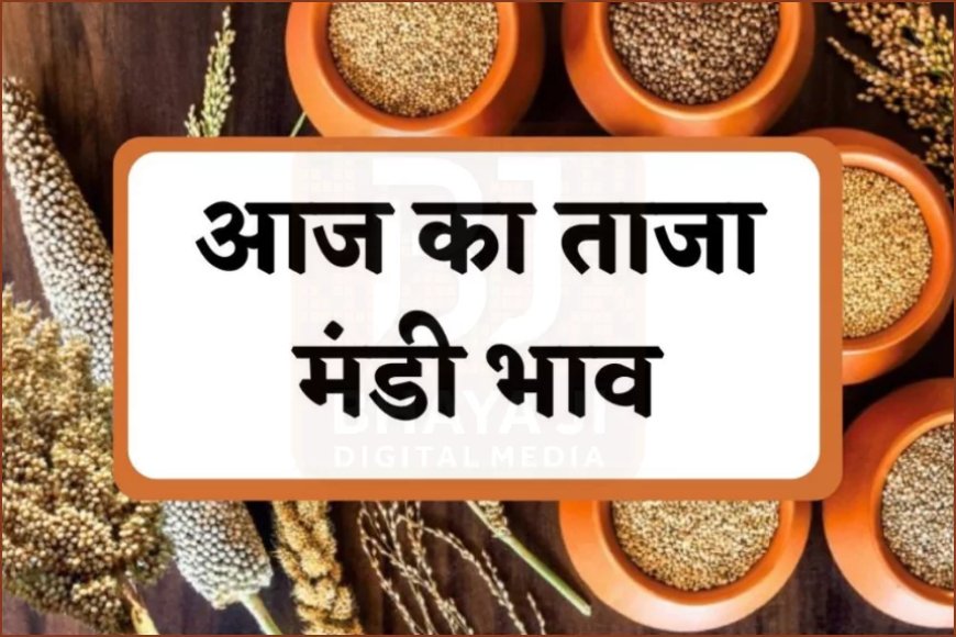 Bikaner Mandi Bhav Aaj 03 फरवरी 2026: मुंगफली मजबूत, जीरा 22400 तक