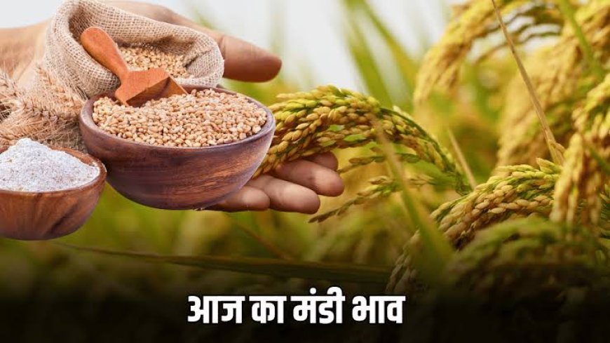 Bikaner Mandi Bhav Aaj 07 फरवरी 2026: मुंगफली मजबूत, आवक कम, ताज़ा भाव