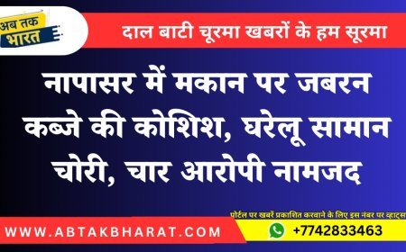 नापासर में मकान पर जबरन कब्जे की कोशिश, घरेलू सामान चोरी, चार आरोपी नामजद