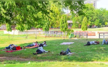 Rajasthan Weather: राजस्थान में बढ़ा तापमान, ठंड से राहत; 4 दिन रहेगा साफ मौसम