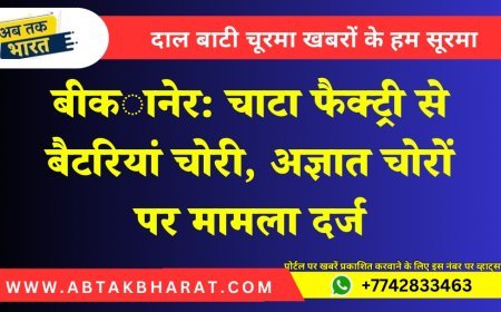 बीकानेर: चाटा फैक्ट्री से बैटरियां चोरी, अज्ञात चोरों पर मामला दर्ज