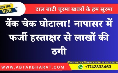 बैंक चेक घोटाला! नापासर में फर्जी हस्ताक्षर से लाखों की ठगी