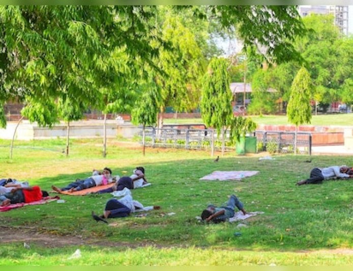 Rajasthan Weather: राजस्थान में बढ़ा तापमान, ठंड से राहत; 4 दिन रहेगा साफ मौसम