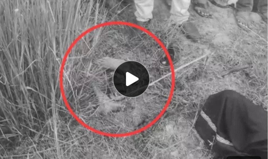 चांदी के लालच में हैवान बना इंसान! बीड़ी पीने के बाद काट डाले पैर