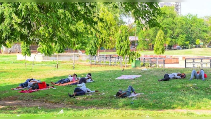 Rajasthan Weather: राजस्थान में बढ़ा तापमान, ठंड से राहत; 4 दिन रहेगा साफ मौसम