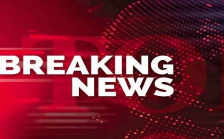 Bikaner News: बज्जू में स्विफ्ट और स्कार्पियो की टक्कर, चार स्कूली बच्चों सहित 5 घायल