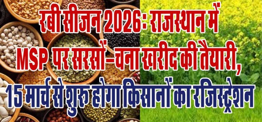Bikaner MSP News: 15 मार्च से सरसों-चना खरीद के लिए रजिस्ट्रेशन, जानिए कब से होगी खरीद