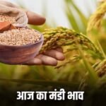 Bikaner Mandi Bhav Today 20 February 2026 | बीकानेर मंडी भाव आज