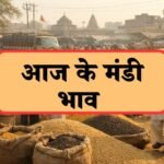 Bikaner Mandi Bhav Aaj 16 फरवरी 2026: मुंगफली मंदी, ग्वार स्थिर, ताज़ा रेट