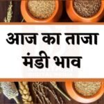 राजस्थान मंडी भाव 13 जनवरी: मूंगफली और ग्वार के रेट अपडेट