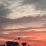 Rajasthan Weather Update: बारिश और ओलों के बाद तापमान गिरा, 18 मार्च से फिर एक्टिव होगा स्ट्रॉन्ग सिस्टम