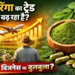 मोरिंगा अब सिर्फ हेल्थ फूड नहीं रहा: 2026 तक भारत में बन सकता है ₹12,000 करोड़ का सेक्टर